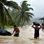 **

A dramatic photo of a Palauan coastal village during a typhoon. Torrential rain is pouring down, palm trees are bent almost double by the wind, and some houses are partially flooded. People are shown helping each other move belongings to higher ground. The overall tone is one of resilience in the face of a powerful storm.

**