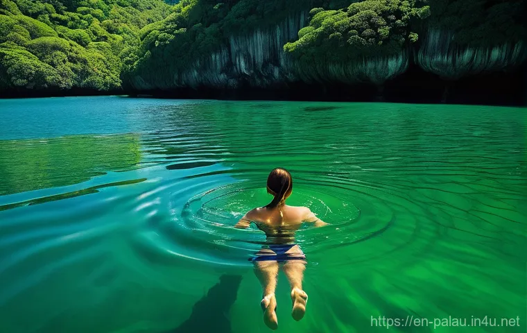 팔라우에서 만날 수 있는 돌고래와 고래 - **Vibrant Coral Gardens and Respectful Divers:** A breathtaking underwater wide shot of a flourishin... 팔라우에서 만날 수 있는 돌고래와 고래 - **Vibrant Coral Gardens and Respectful Divers:** A breathtaking underwater wide shot of a flourishin...