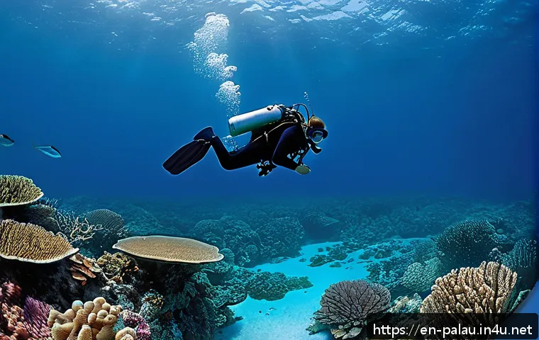 Discover How Palau is Leading the Charge in Ocean Conservation and Marine Biodiversity Protection 4 팔라우 해양 생태 보호 관련 이미지 2