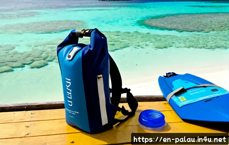 Palau on a Backpacker Budget: Trip Costs, Island Tours, and Smart Planning Choices 3 팔라우 배낭여행 가이드 관련 이미지 1